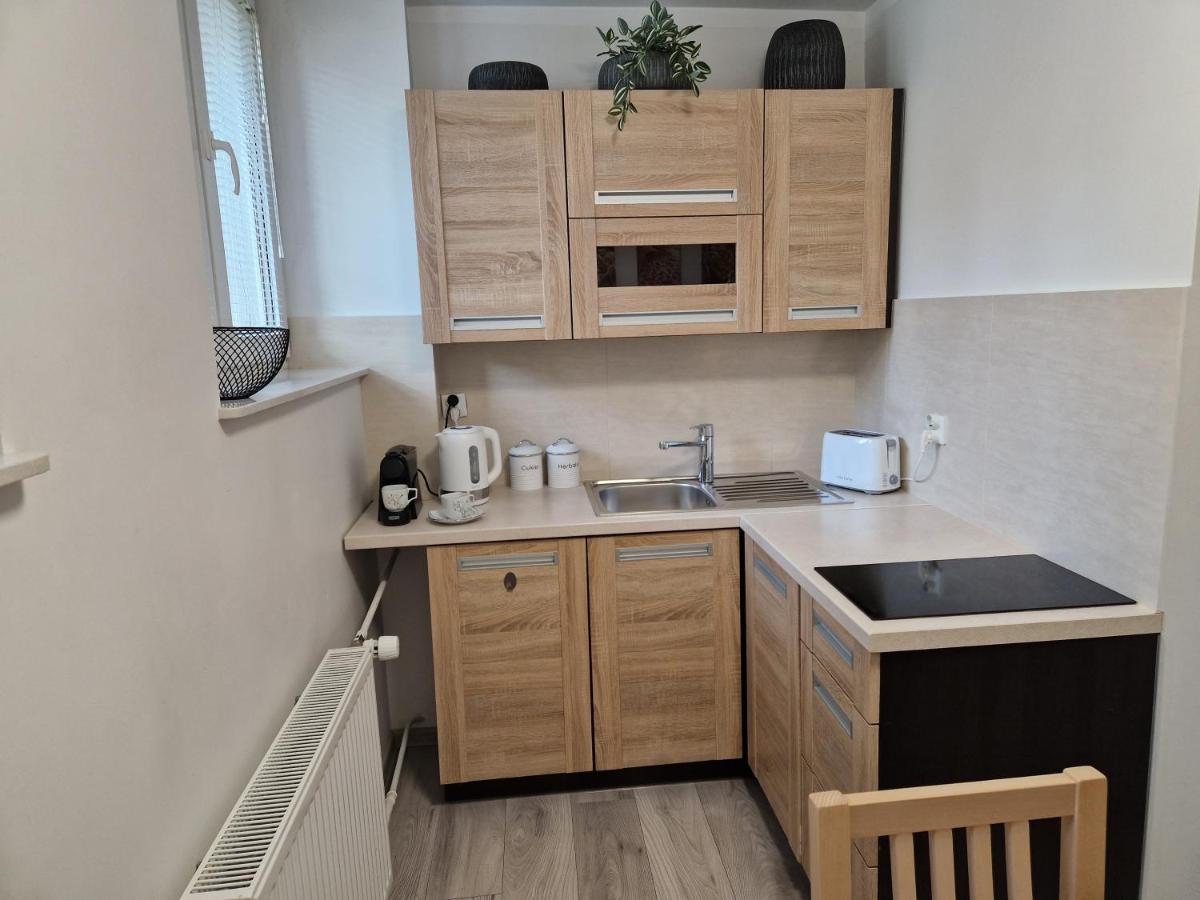 Apartament W Srodmiesciu Sanok Extérieur photo